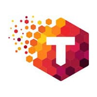 TeamHive logo