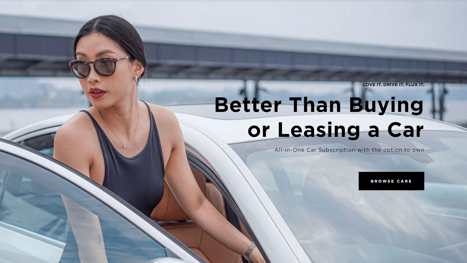 DriveFlux banner
